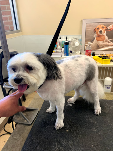 Pet Supply Store «Petco Animal Supplies», reviews and photos, 6612 Richmond Hwy, Alexandria, VA 22306, USA