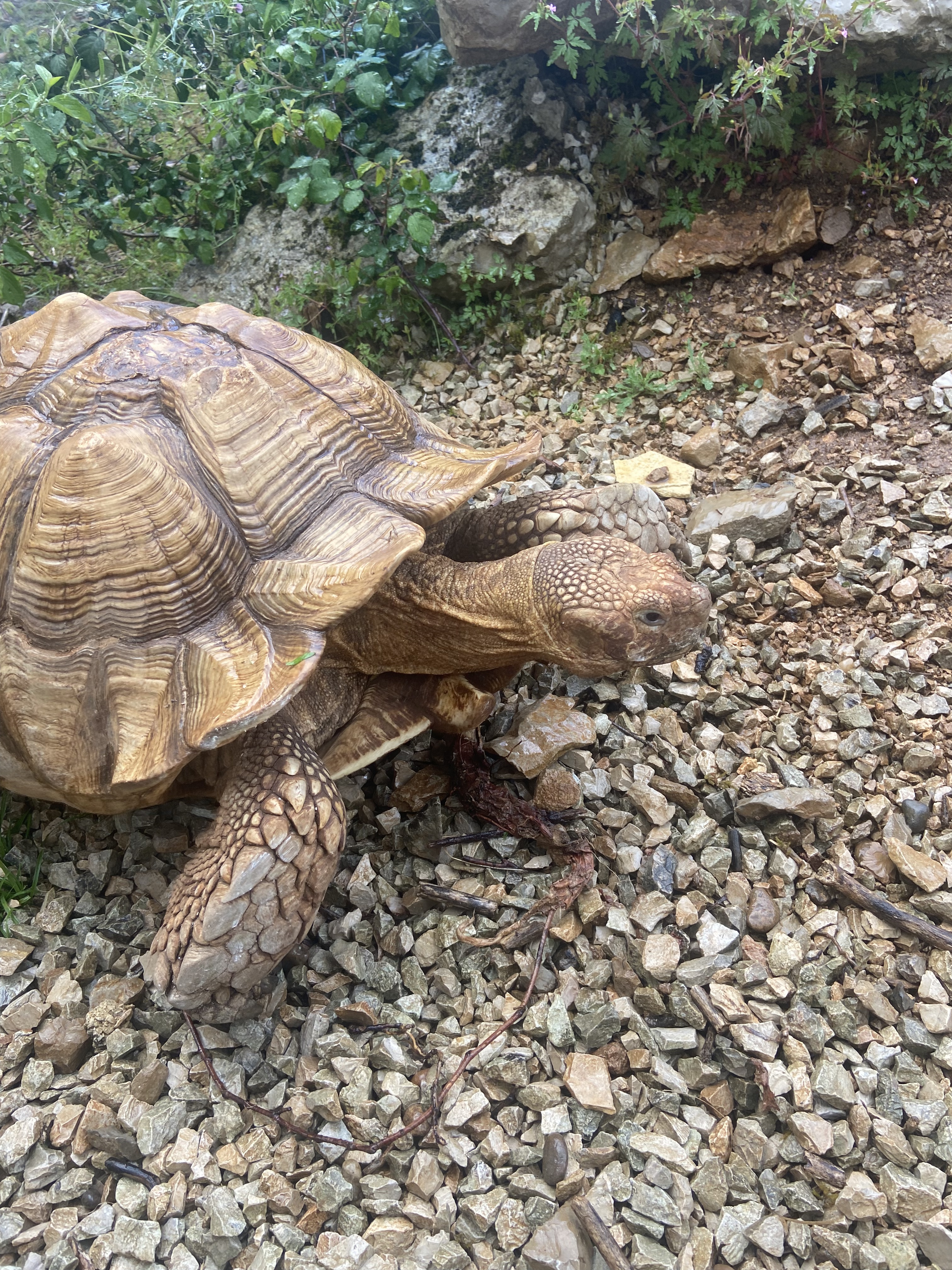 Photo n° 3 de l'avis de camille.u fait le 16/05/2023 à 10:28