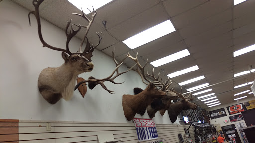 Sporting Goods Store «Kames Sports», reviews and photos, 8516 Cleveland Ave NW, North Canton, OH 44720, USA
