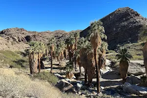 Indian Canyons image