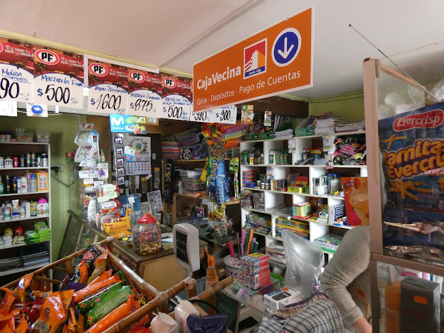 Opiniones de Bazar Alejandra en Freire - Supermercado