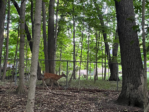 Nature Preserve «Stage Nature Center», reviews and photos, 6685 Coolidge Hwy, Troy, MI 48098, USA