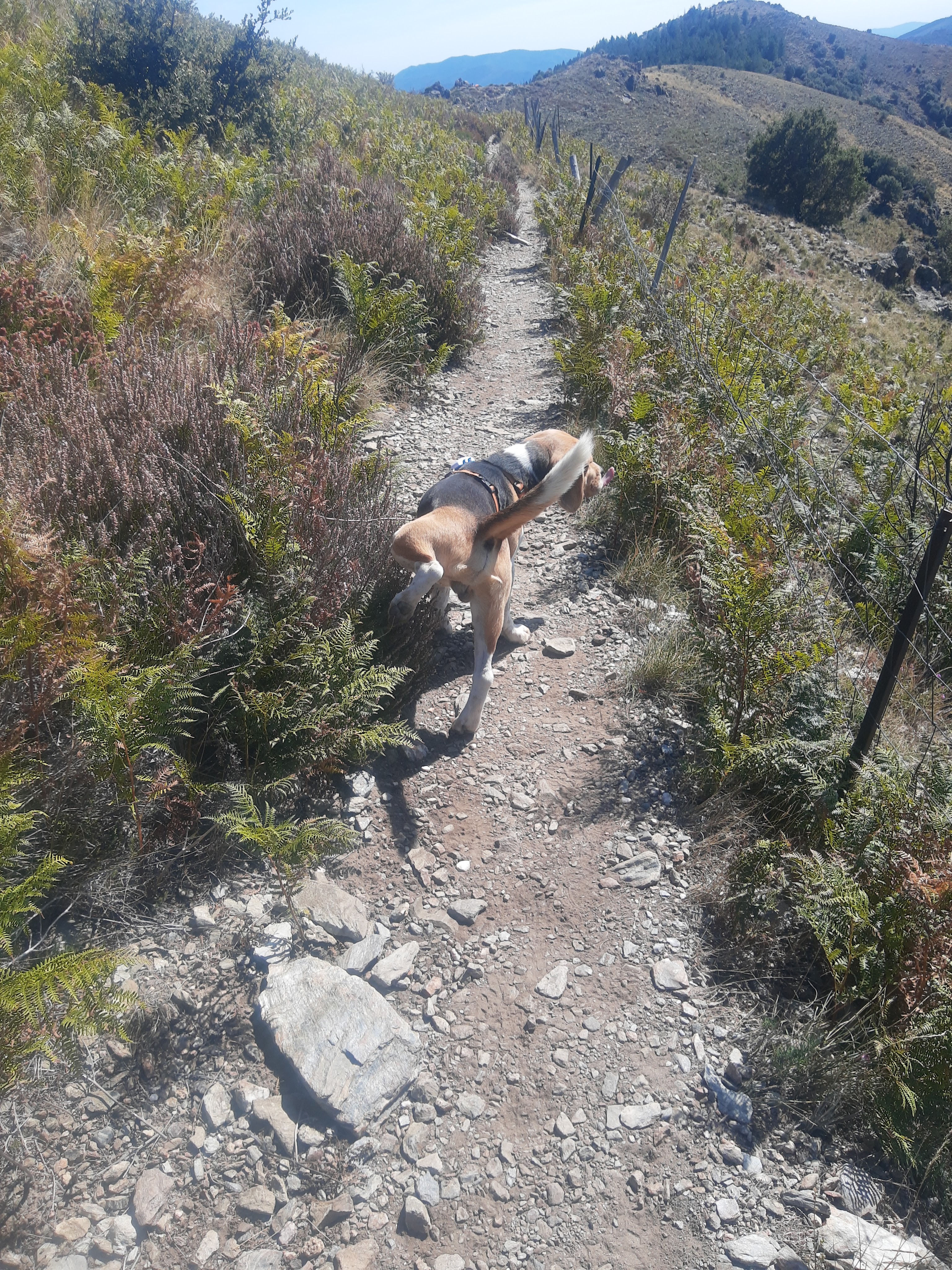 Photo n° 1 de l'avis de Andrea.o fait le 18/09/2022 à 14:44