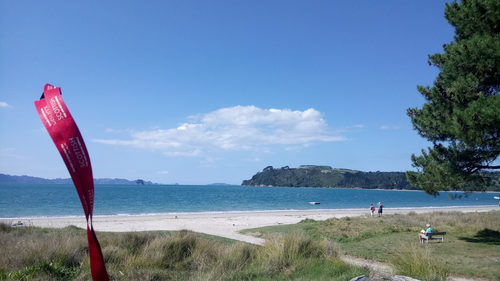 Foto av Cooks Beach och bosättningen