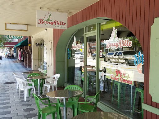 Frozen Yogurt Shop «BerryVille Frozen Yogurt», reviews and photos, 131 N Woodland Blvd, DeLand, FL 32720, USA