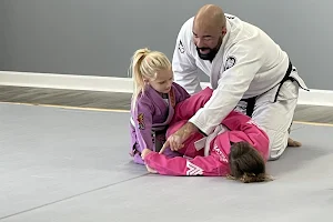 The Mount BJJ & MMA - Mount Airy image