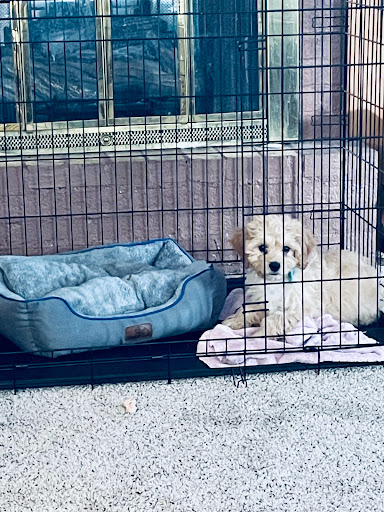 1921 Gadsden Hwy, Birmingham, AL 35235, USA