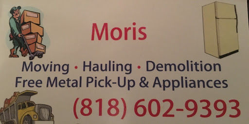 Moris Demo and Hauling Services