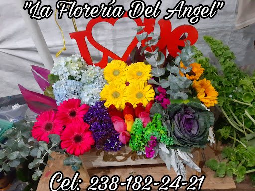 Florería ilusión