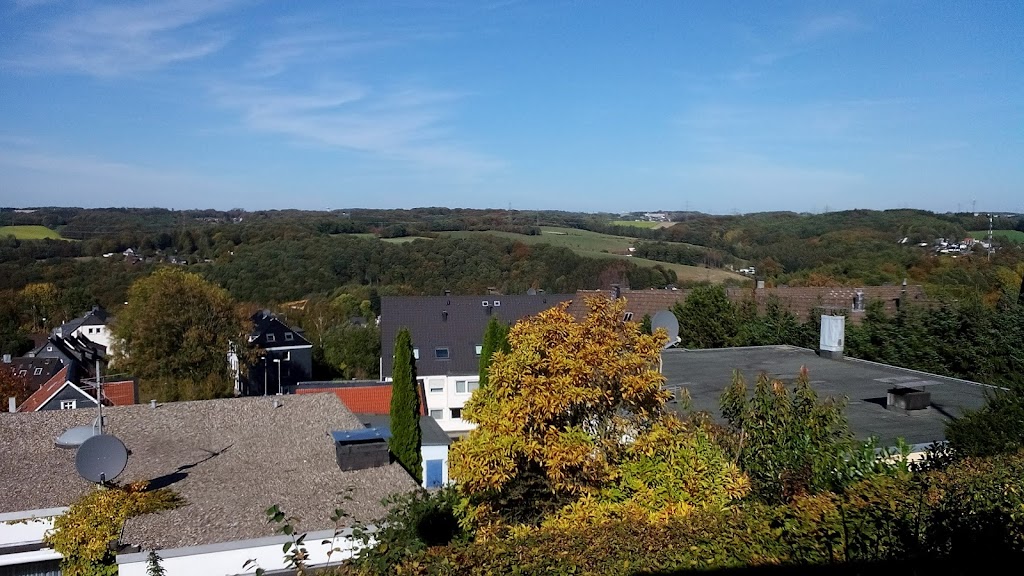 Kleingärtnerverein Steinberg