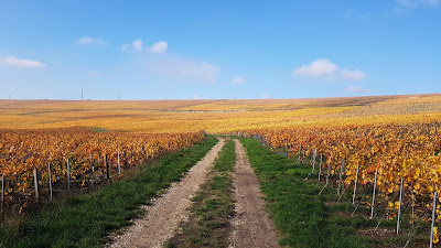Champagne Naudé-Touret à Charly-sur-Marne