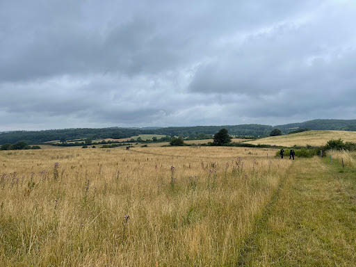 Svanninge MTB in Faaborg, Faaborg-Midtfyn