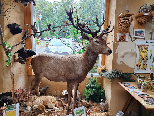 Beoordelingen van Erlebnismuseum Lernort Natur in Eupen - Museum