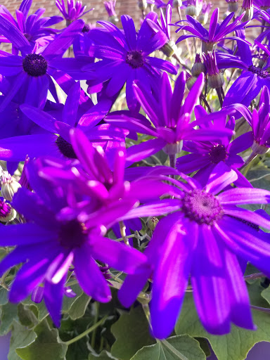 Supermarket «Weis Markets», reviews and photos, 10 Village Center Rd, Reisterstown, MD 21136, USA