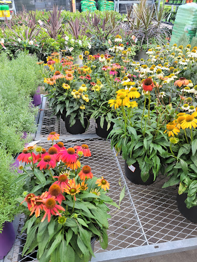 Home Improvement Store «The Home Depot», reviews and photos, 1300-1320 Corporate Dr, Westbury, NY 11590, USA