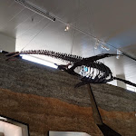 Photo n° 1 de l'avis de Eddy.r fait le 23/05/2022 à 06:34 pour Paléospace à Villers-sur-Mer