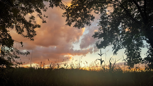 Nature Preserve «The Celery Farm», reviews and photos, Franklin Turnpike, Allendale, NJ 07401, USA