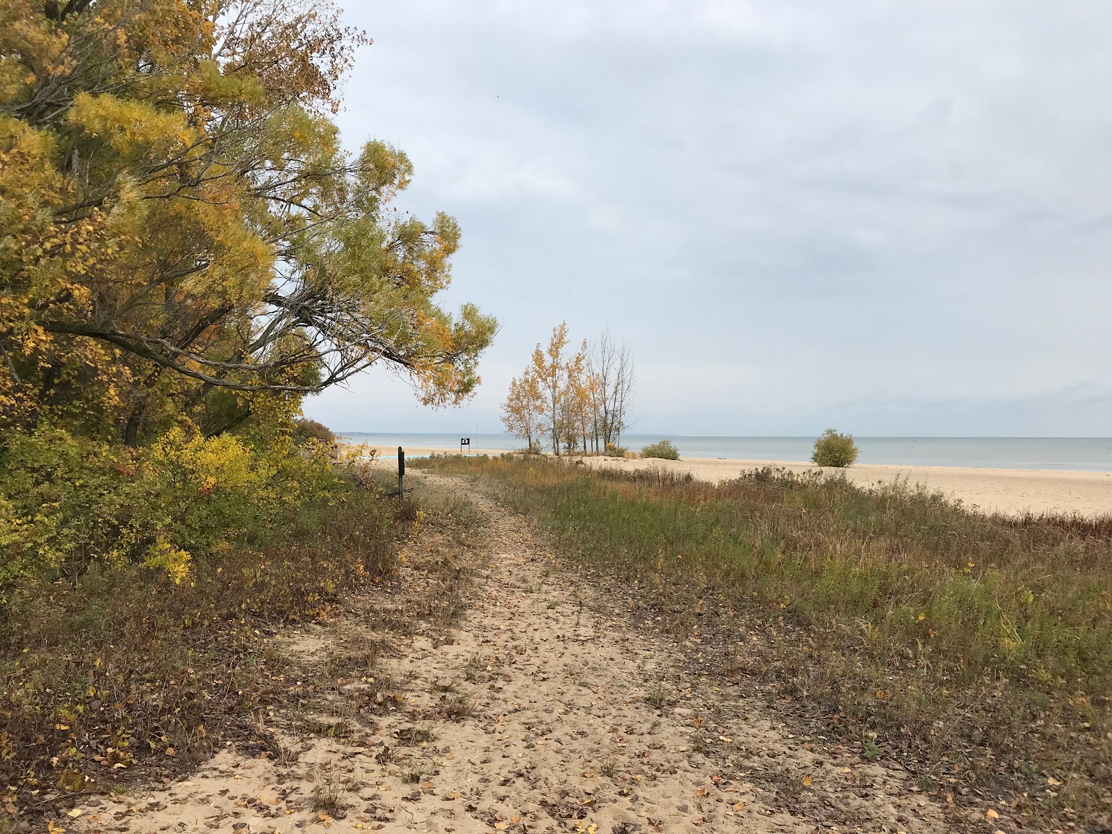 Bay City State Park Beach photo #9