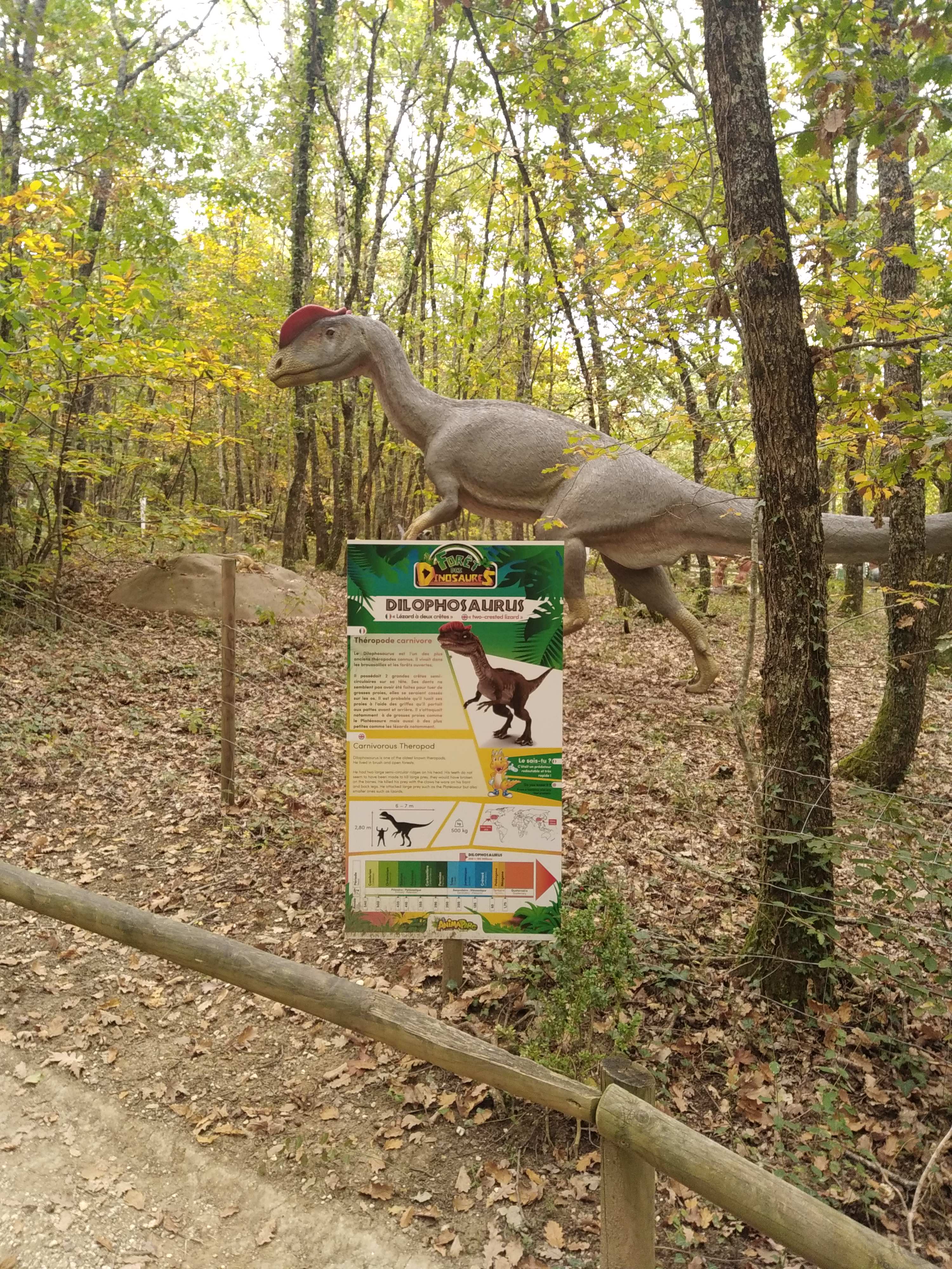 Photo n° 17 de l'avis de Mathieu.r fait le 30/10/2021 à 19:26