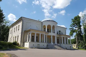 Stakhoviches Manor image