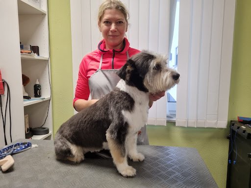 Hundefriseur (Kempten & Umgebung) PUDELWOHL unter Wildpoldsried, 