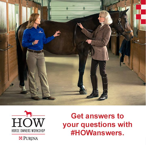 Pet Supply Store «Bay State Pet & Garden Supply», reviews and photos, 429 Winthrop St, Taunton, MA 02780, USA