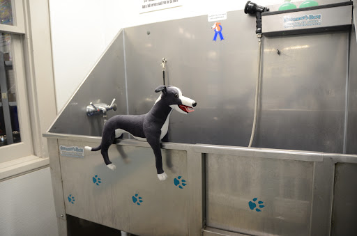 Pet Groomer «Blue Ribbon Dog Grooming LLC Anderson», reviews and photos, 5038 S Scatterfield Rd, Anderson, IN 46013, USA