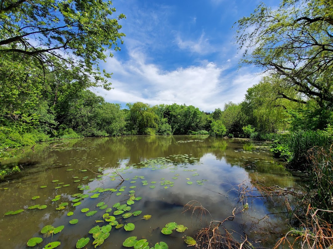 Halls Pond Sanctuary