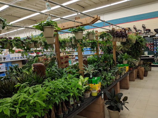 Hardware Store «Orchard Supply Hardware», reviews and photos, 5365 Prospect Rd, San Jose, CA 95129, USA