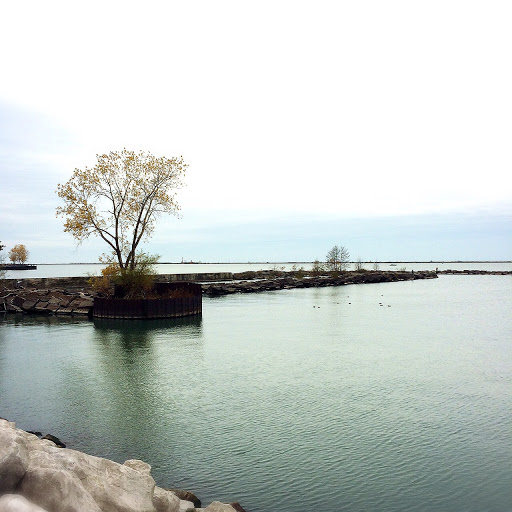Nature Preserve «Cleveland Lakefront Nature Preserve», reviews and photos, 8701 Lakeshore Blvd, Cleveland, OH 44108, USA