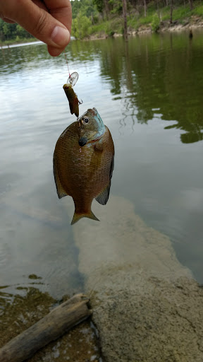 State Park «Taylorsville Lake State Park», reviews and photos, 1320 Park Rd, Mt Eden, KY 40046, USA