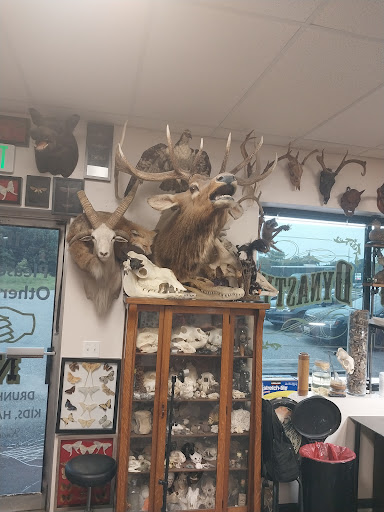 Explore hunting tattoo ideas for guys, creative tattoo ideas in Joppa, available at Tattoo Dynasty