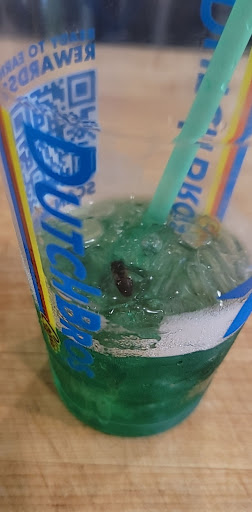 Coffee Shop «Dutch Bros Coffee», reviews and photos, 8940 SW Hall Blvd, Portland, OR 97223, USA