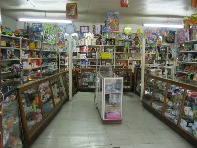 Opiniones de Libreria Karina-Entre Lagos en Puyehue - Librería
