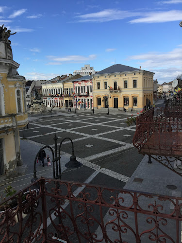 Hotel Rareș - Hostal