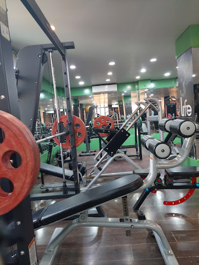 Life Fitness Gym - 3rd Floor Al-Aijaz Complex, Wazir Bagh, Srinagar, Jammu and Kashmir 190008