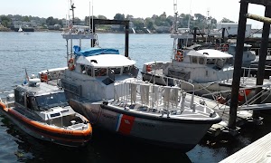 Cape Ann Whale Watch - photo 26