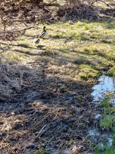 Memorial Park «Veterans Memorial Park», reviews and photos, 7619 Memphis Ave, Brooklyn, OH 44144, USA