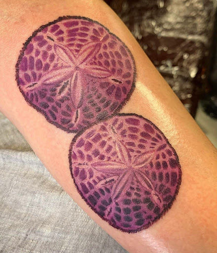 Explore feminine arm tattoo ideas, creative tattoo ideas in Transfer, available at Studio Antherium Tattoo