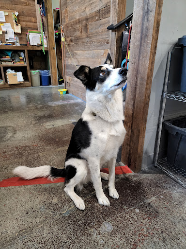 Gym «Vertical World Redmond», reviews and photos, 15036 NE 95th St b, Redmond, WA 98052, USA