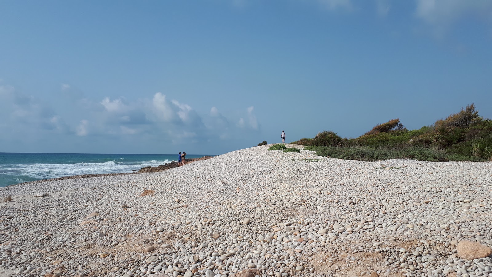 Photo de Platja Serradal zone sauvage