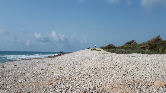 Platja Serradal
