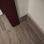 Photo n°2 de l'avis de Gabriela.p fait le 04/08/2021 à 17:50 sur le  Hotel Galf à Martinsicuro