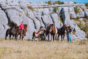 Photo n°12 de Lou Pitchoun Cavaou à Caussols ()