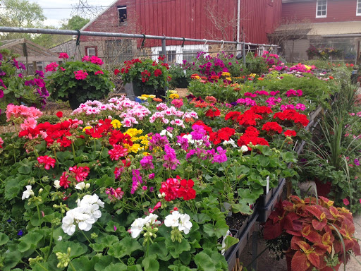 Produce Market «Highland Orchards Farm Market», reviews and photos, 1431 Foulk Rd, Wilmington, DE 19803, USA