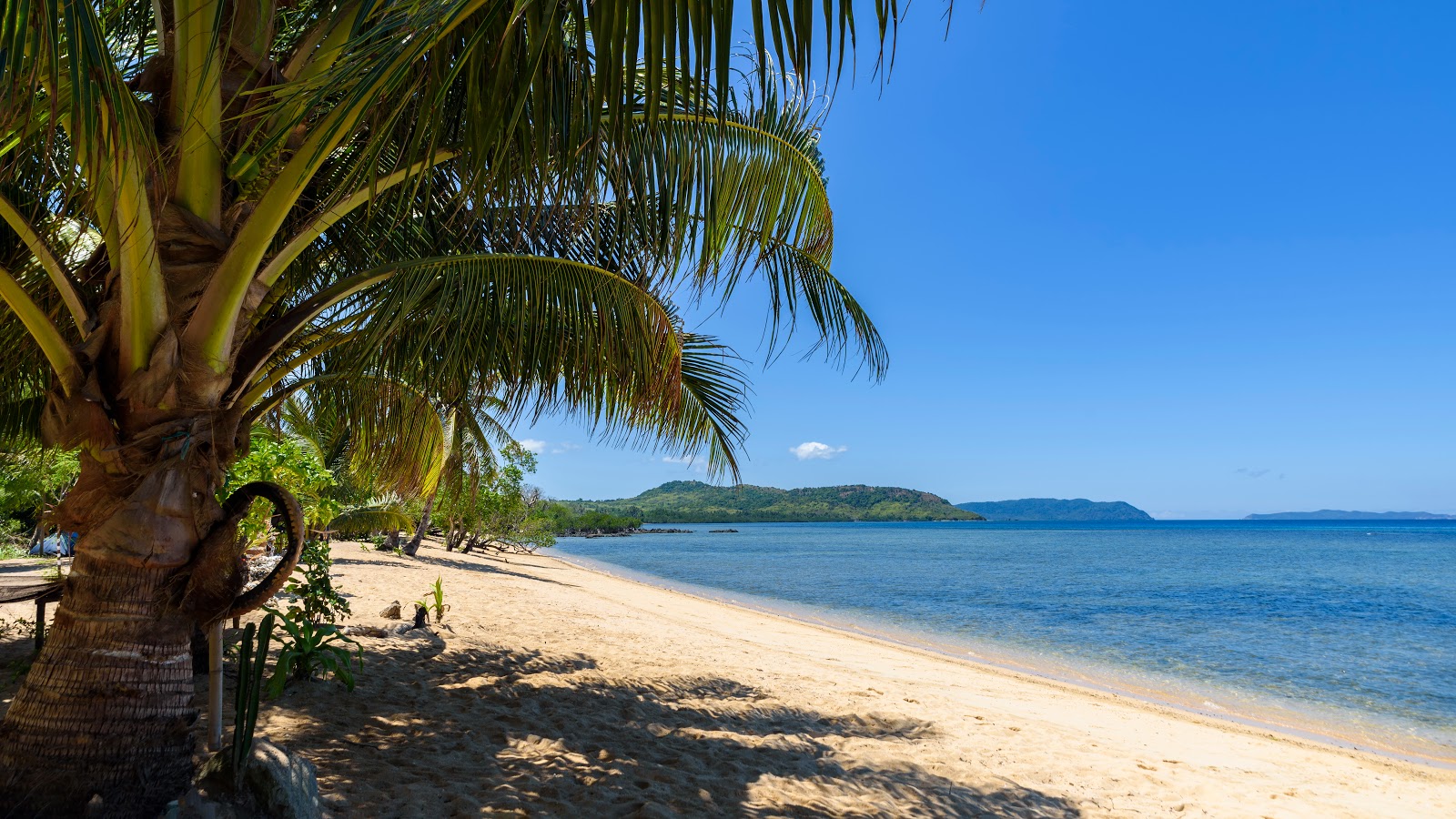 Foto von Alito Beach mit geräumige küstenlinie