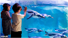 Sea Life Konstanz Logo, Konstanz, Jerman, Akuarium
