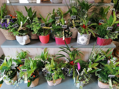 Chrys-Flor, artisan fleuriste 🌺 à Cavalaire-sur-Mer