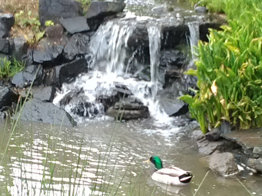 Home Improvement Store «The Home Depot», reviews and photos, 3795 Hagers Grove Rd SE, Salem, OR 97317, USA