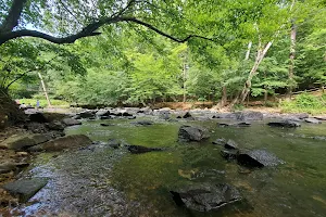 Eno River State Park image